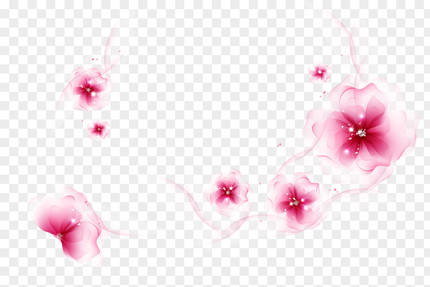 Transparent Flower Blossom Desktop Wallpaper Rose Floral Design Image PNG