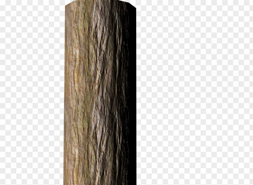 Tree Bark Wood Stump Trunk PNG
