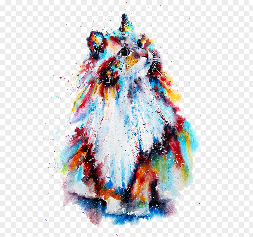 Watercolor Cat Painting Drawing Illustration PNG
