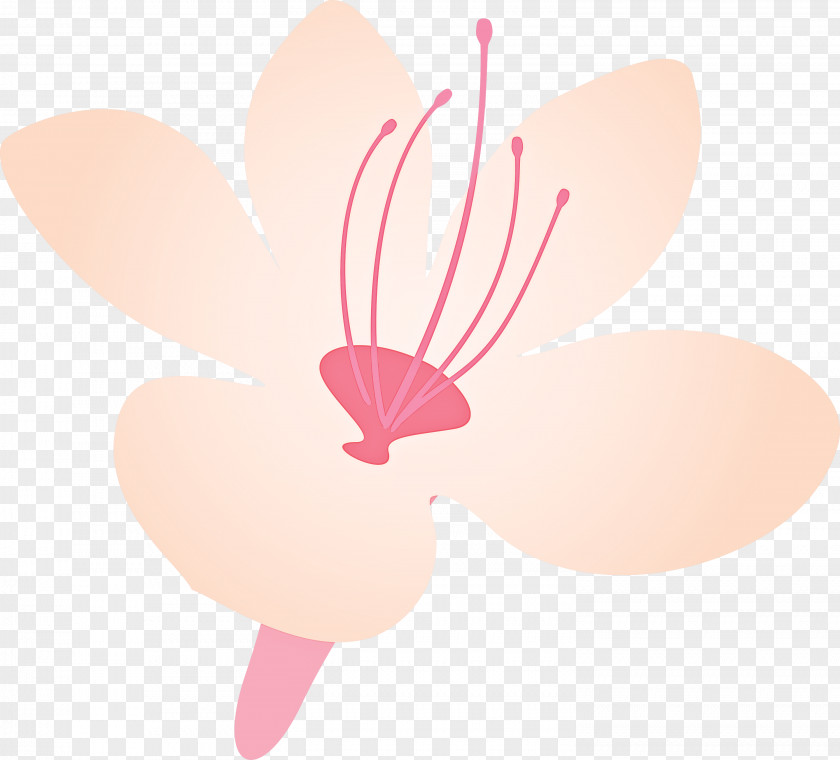 Azalea Spring Flower PNG