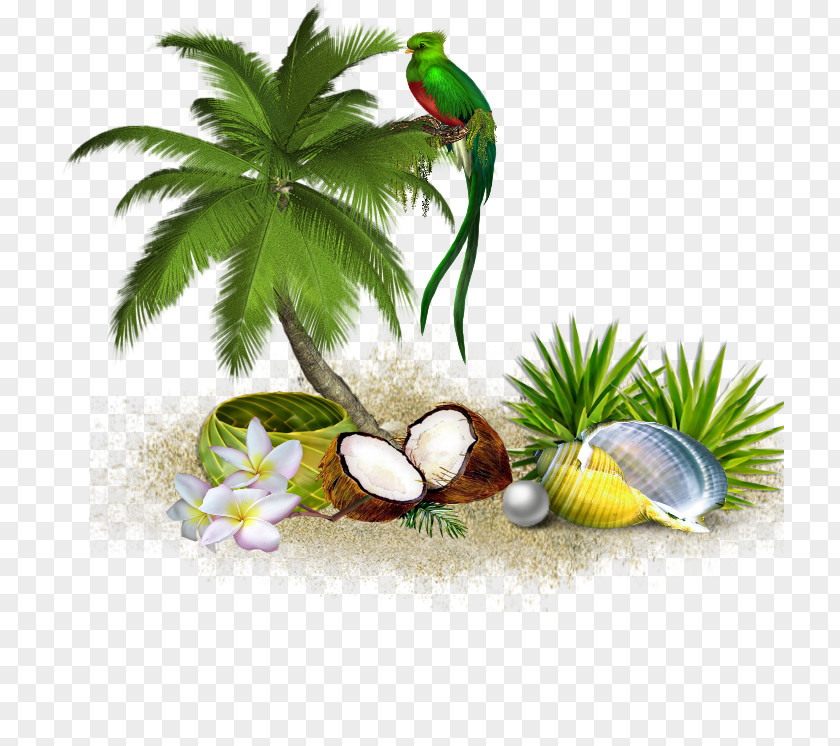 Bird Aquarium Decor Coconut Tree Cartoon PNG