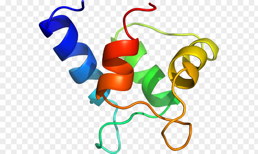 Calcium Chlorine Atom Diagram Clip Art Food Product Line PNG