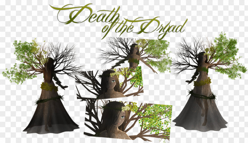 Dryad Death Tree Art Life PNG