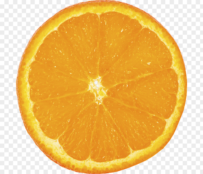 Lemon Slices Free Download Orange Slice Fruit PNG