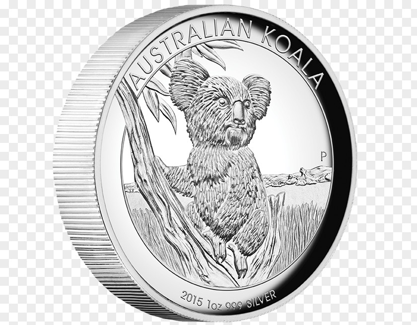 Money Currency Koala Cartoon PNG