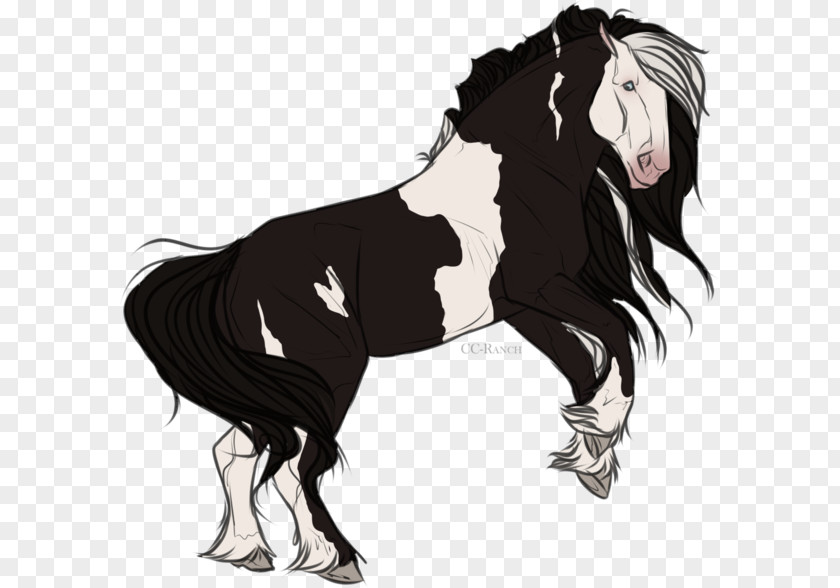 Mustang Pony Art Stallion PNG