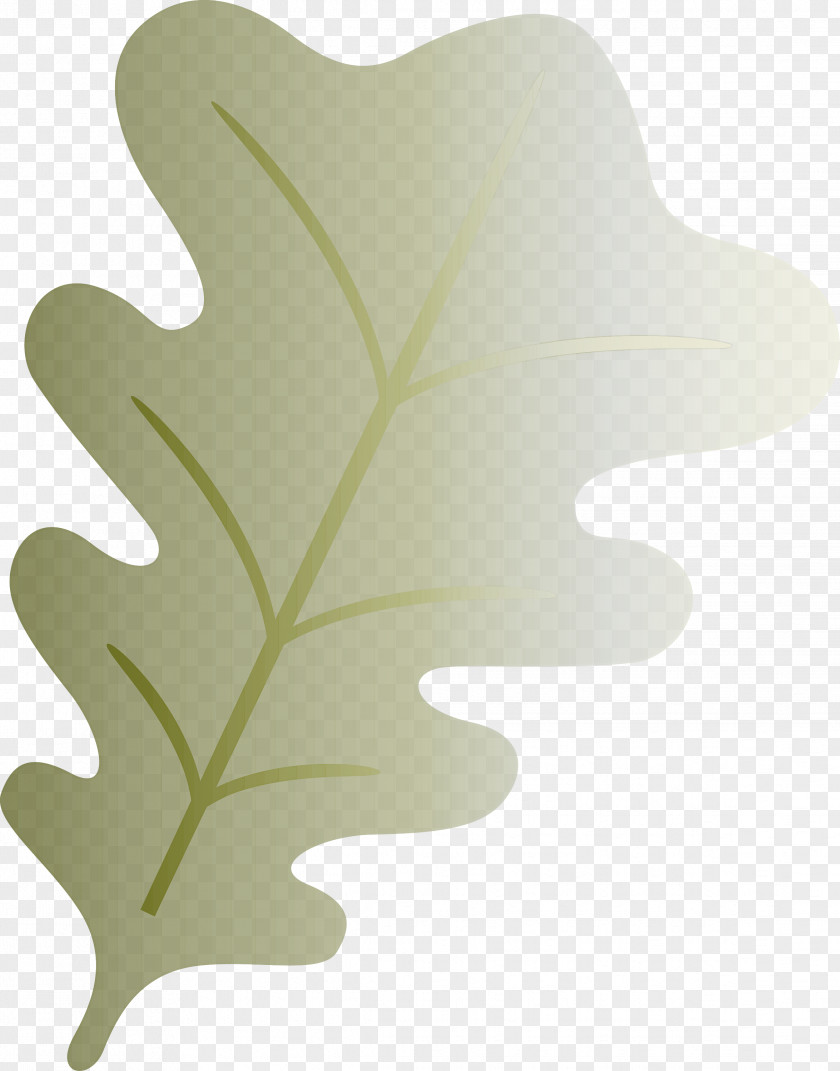 Oak Leaf PNG