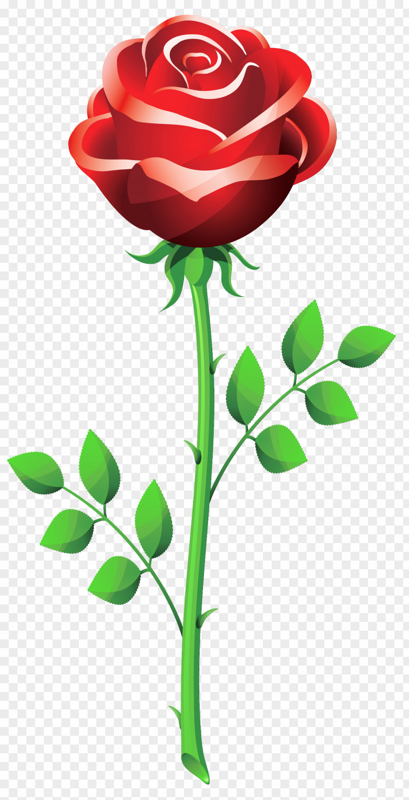 Rose PNG Clipart Picture A Delightful Valentine's Day Menu Dinner Breakfast PNG