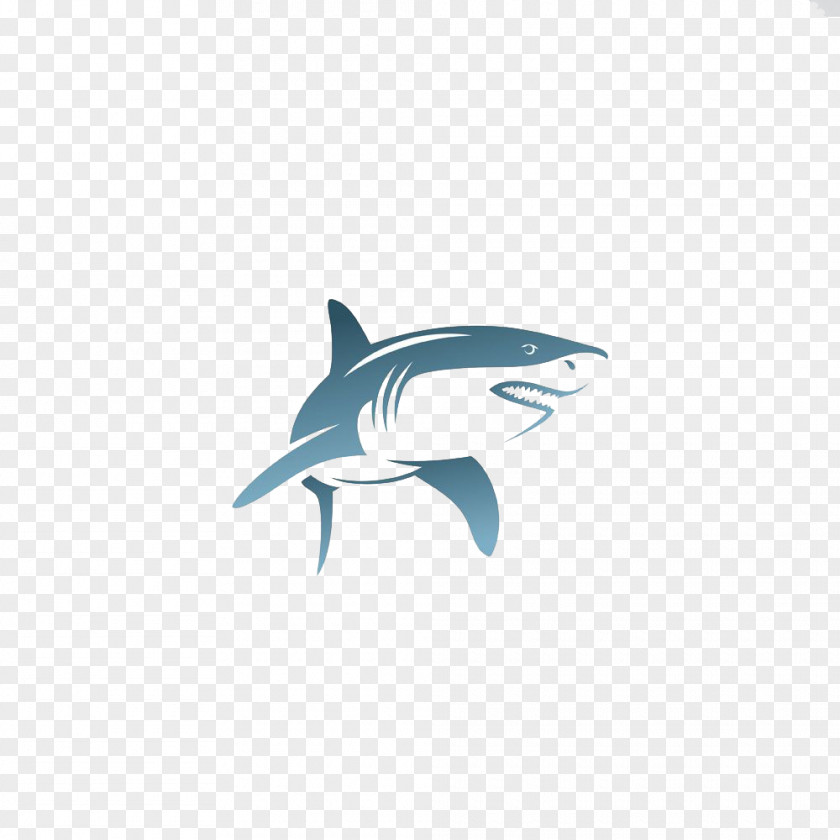 Shark Euclidean Vector Illustration PNG