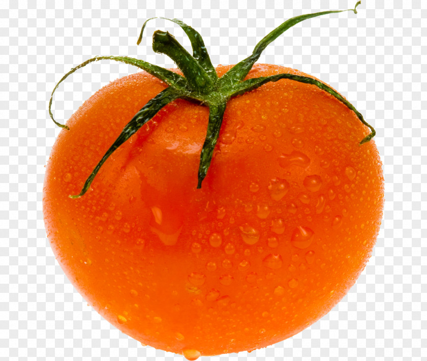 Tomato Stock Photography Vegetable PNG