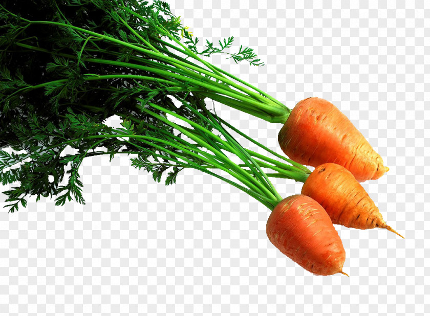Vegetable Carrot Baby Fruit PNG