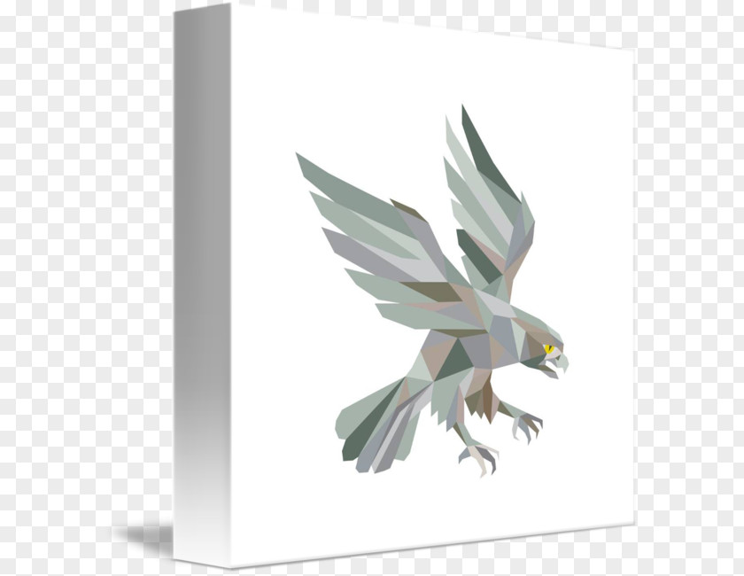Falcon Low Poly Peregrine PNG