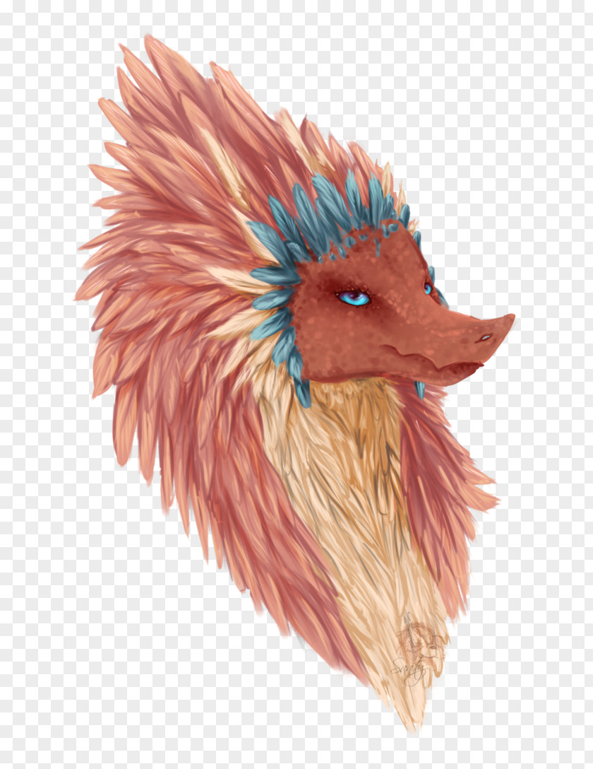 Feathers Watercolor Chicken As Food PNG