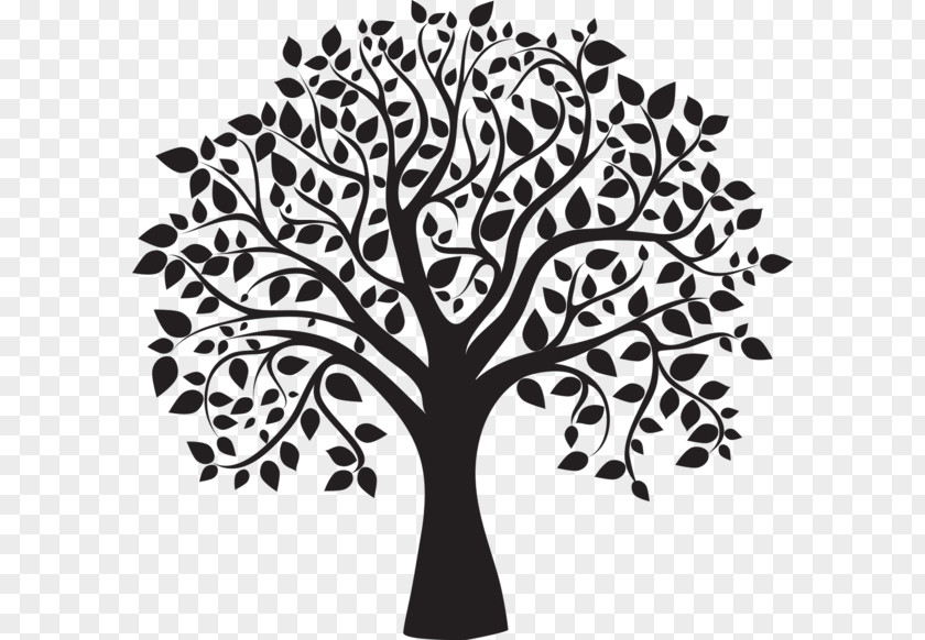 Prototype Vector Tree Drawing Clip Art PNG