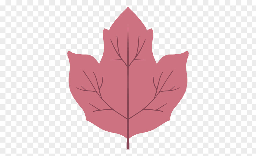 Black Maple Flowering Plant Leaf PNG