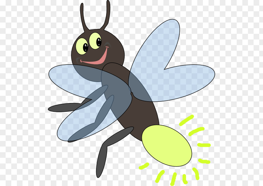 Firefly Cliparts Light Insect Clip Art PNG