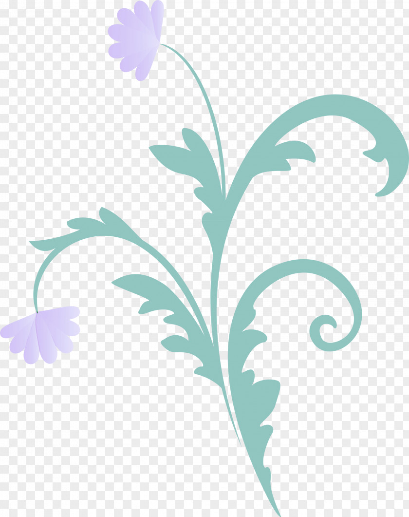 Flower Frame Floral PNG