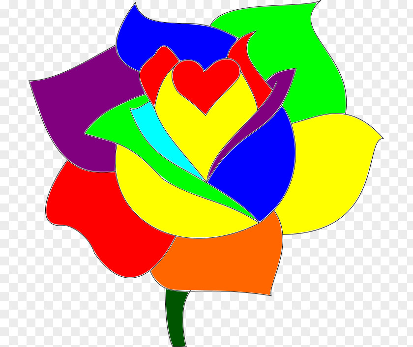 Rainbow Petal Drawing Color PNG