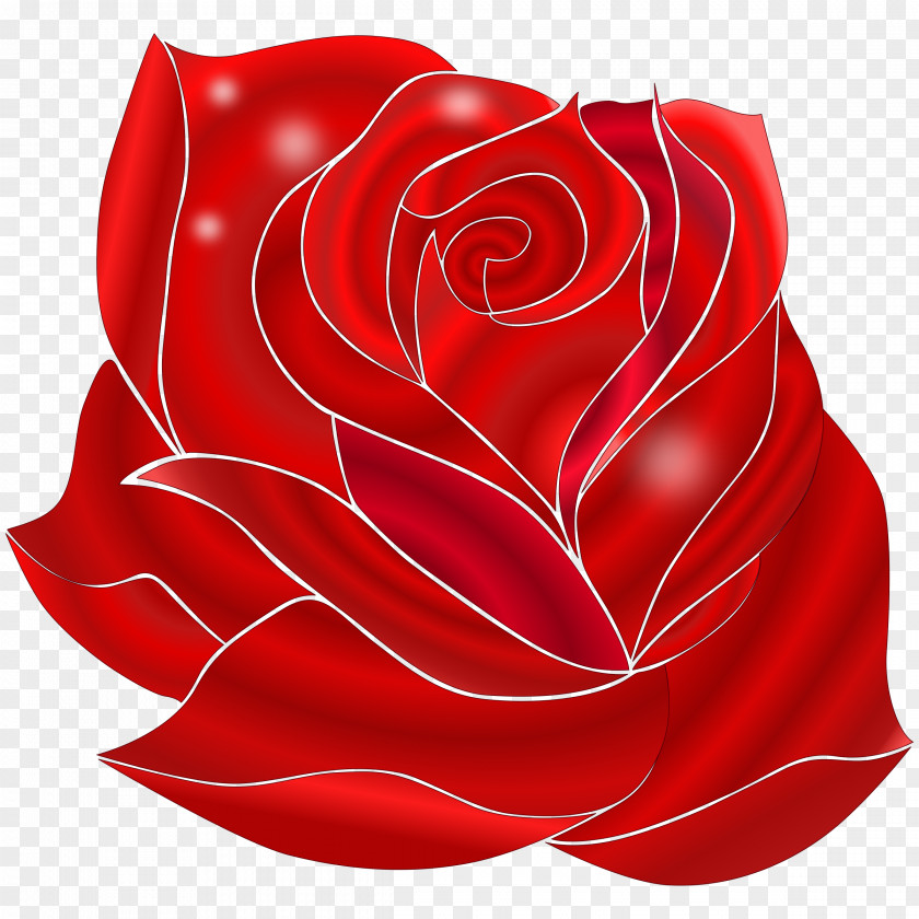 Rose Vector Best Roses Clip Art PNG