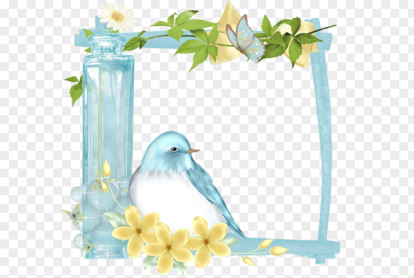 Blue Bird Flowers Border Picture Frame Film Photography PNG