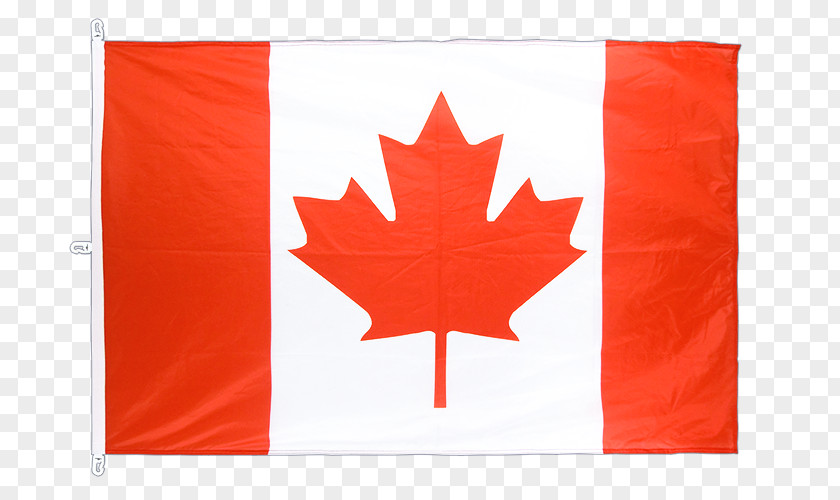 Canada National Flag Of Day Maple Leaf PNG