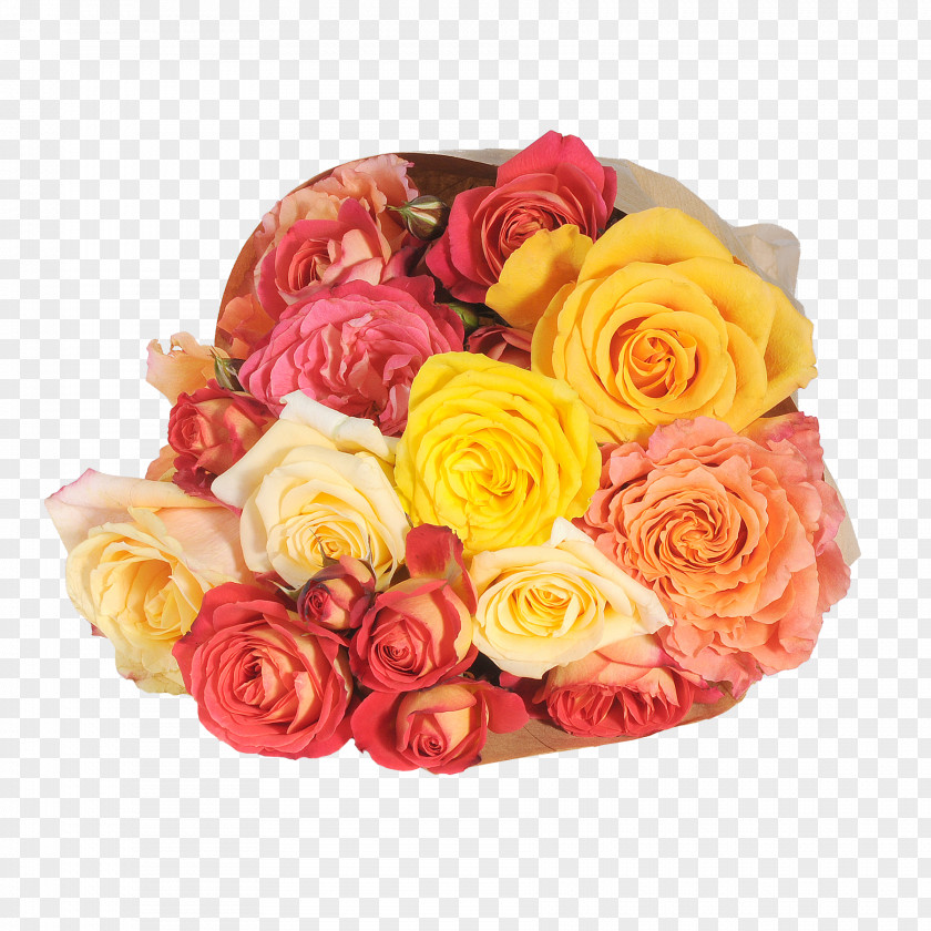 Champagne Garden Roses White Wine Rosé PNG