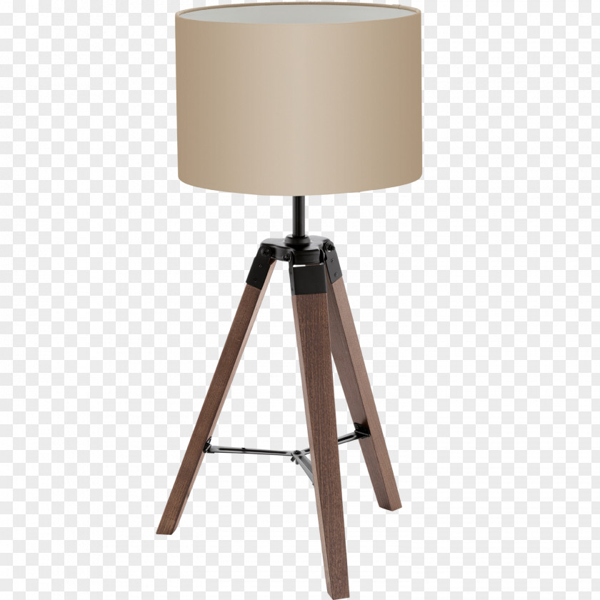 Light Incandescent Bulb Eglo Floor Lamp PNG