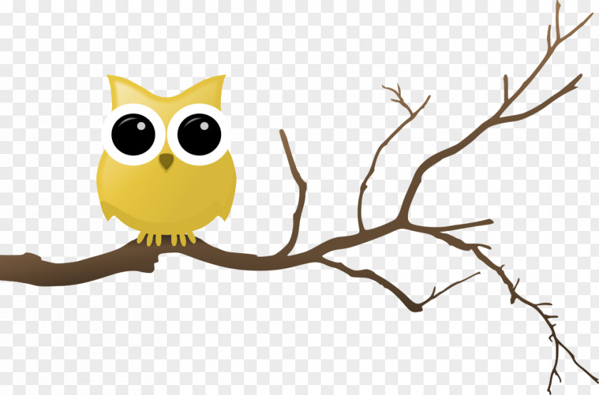 Owl Branch Drawing Clip Art PNG