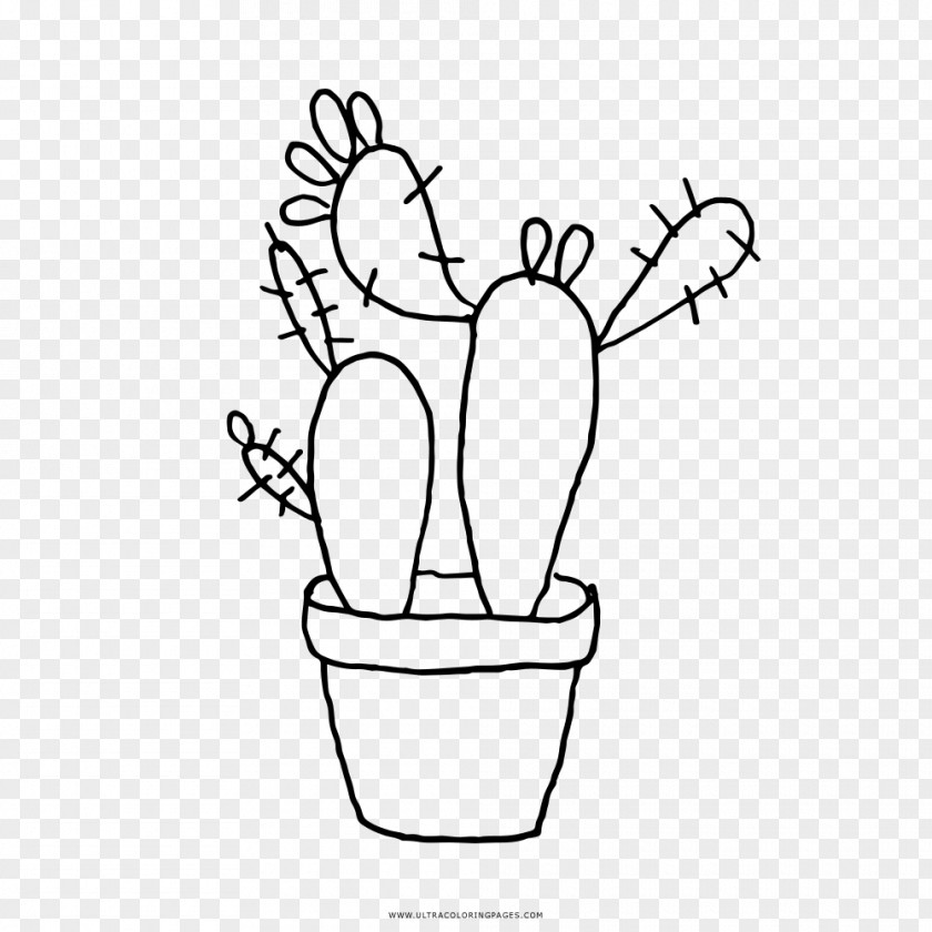 Painting Drawing Black And White Cactaceae Coloring Book PNG