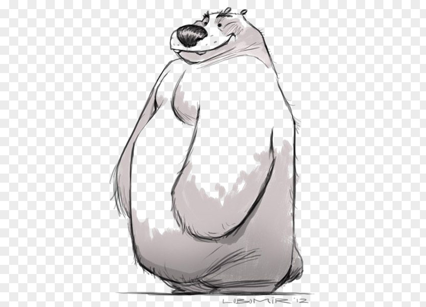 Bear Polar Drawing Cartoon Illustration PNG