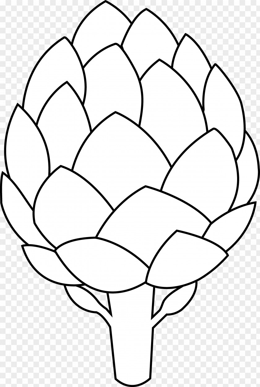Black And White Flower Outline Artichoke Drawing Vegetable Clip Art PNG