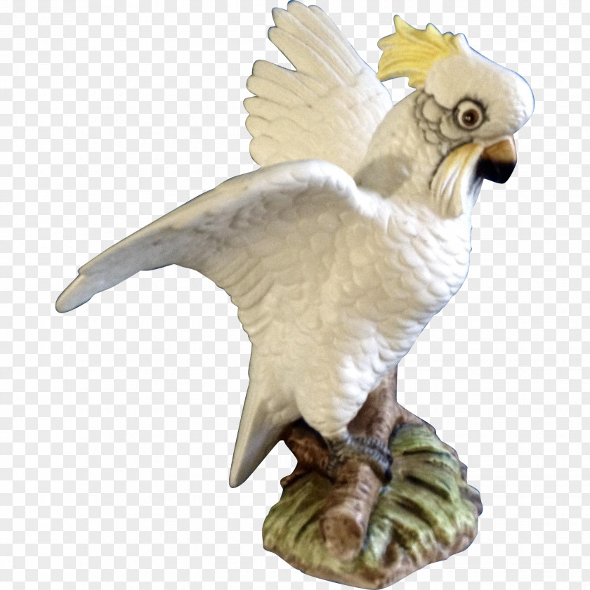 Cockatoo Bird Of Prey Animal Figurine Beak PNG