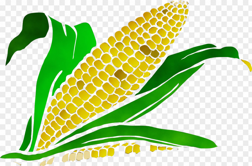 Food Grain Vegetarian Watercolor Leaf PNG