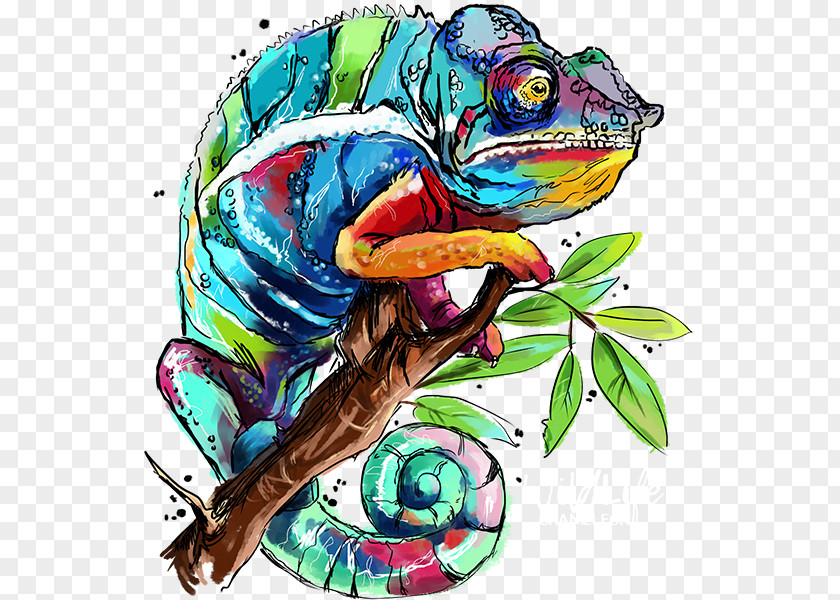 Paint By Number Chameleons Painting Lizard Animal PNG