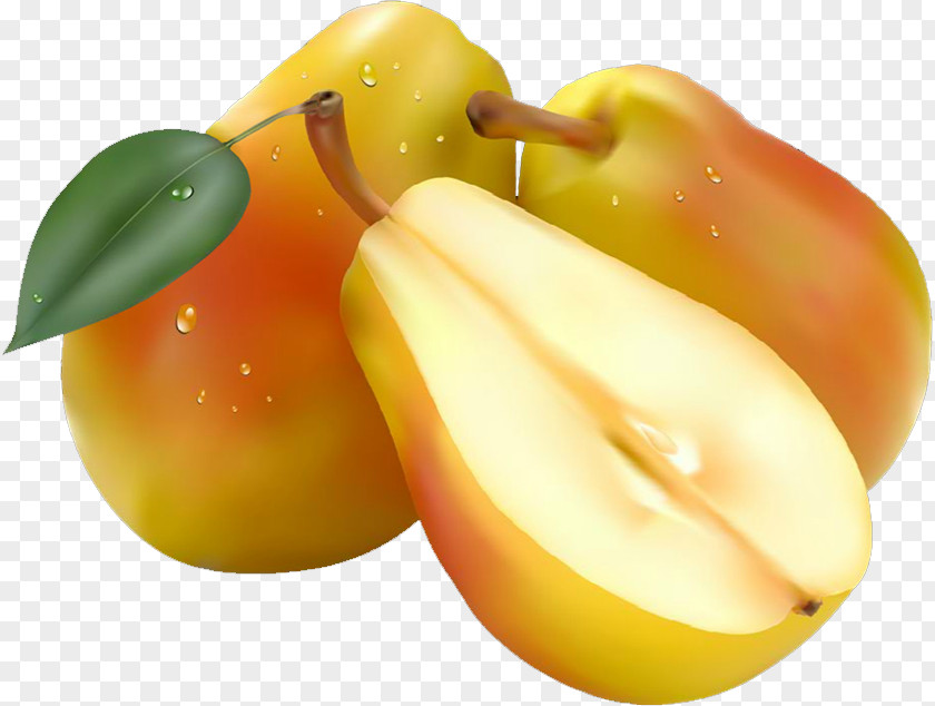 Pear Fruit Clip Art PNG