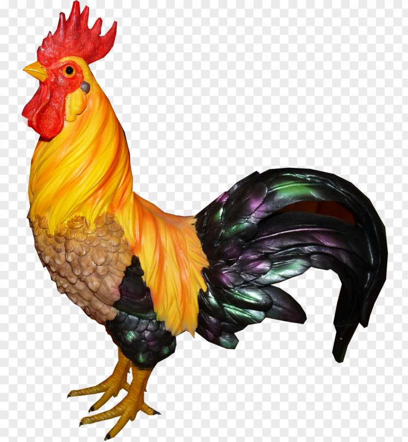 Rooster Chicken Bird PNG