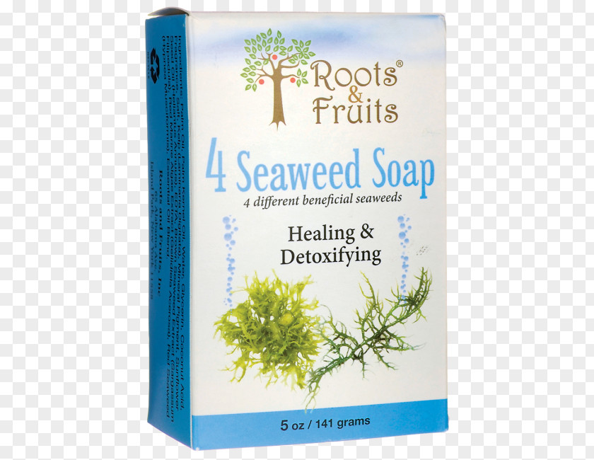 Seaweed Shower Gel Bathing Soap Herb PNG
