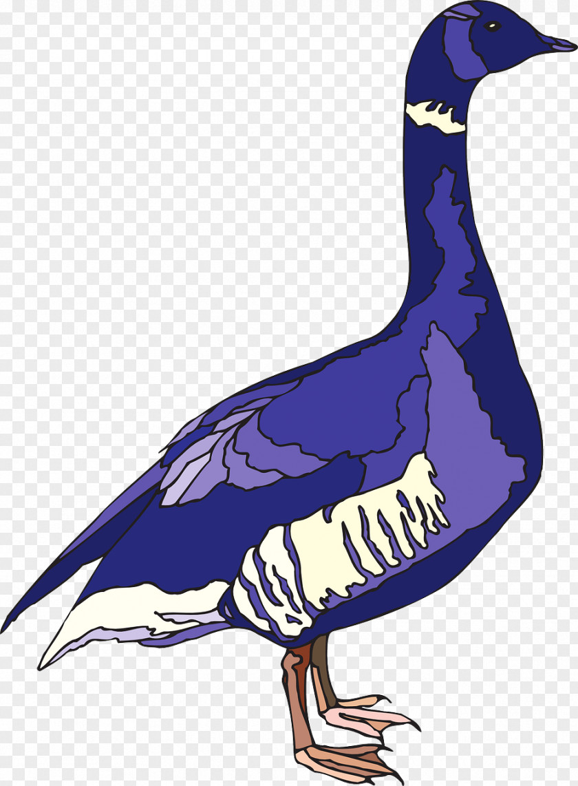 Blue Duck Goose Bird Clip Art PNG