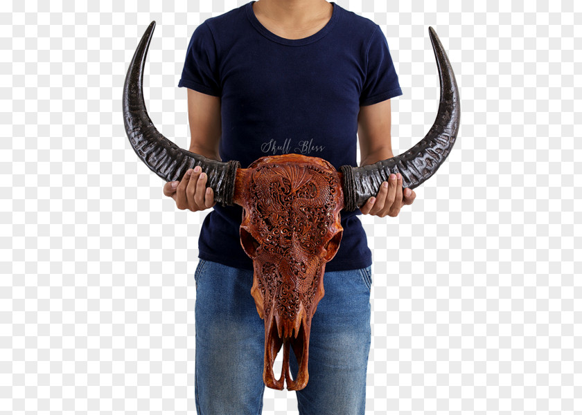 Buffalo Skull Mandala Texas Longhorn Antique Carving PNG