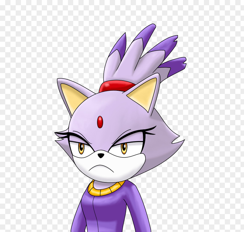 Cat Whiskers Blaze The Shadow Hedgehog Sonic Riders PNG