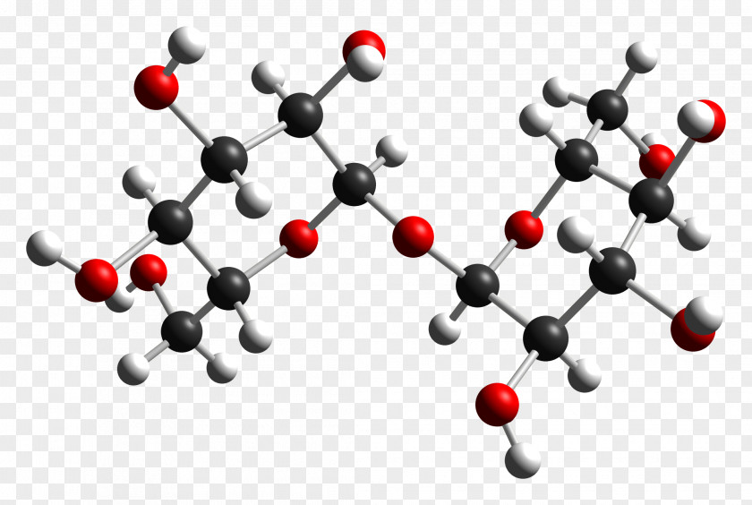 Molecule Trehalose Disaccharide Glucose Fungus PNG