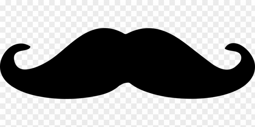 Moustache Movember The Bro Code Beard PNG