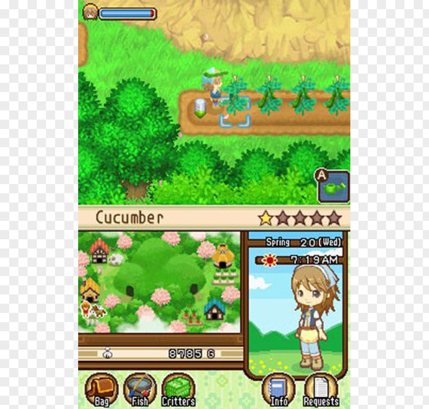 Nintendo Harvest Moon: The Tale Of Two Towns Moon 3D: A New Beginning DS 3DS PNG