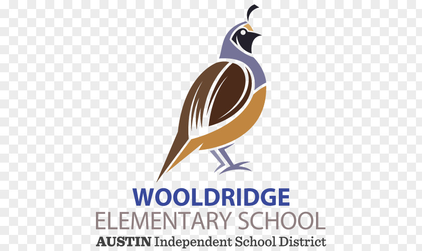 School Wooldridge Elementary Independent District Education PNG