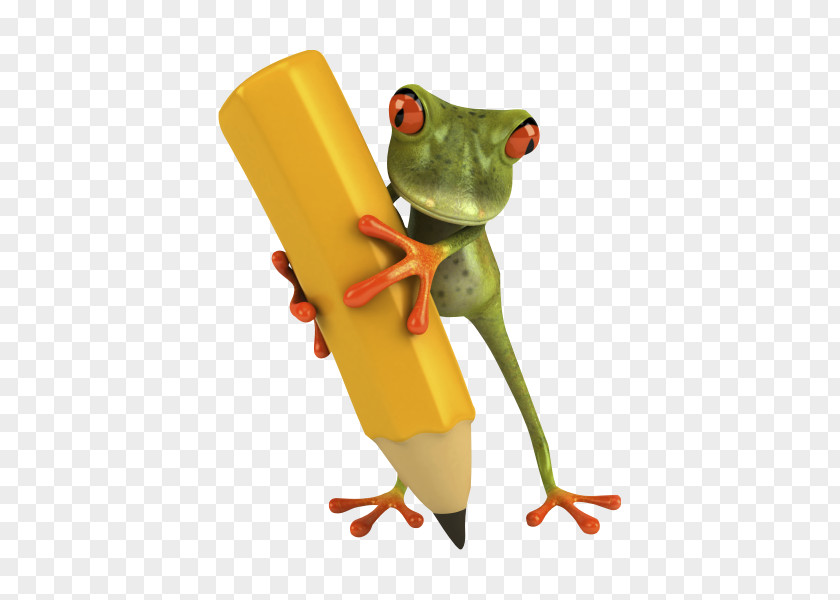 Frog Yellow-banded Poison Dart Rhacophorus Reinwardtii PNG