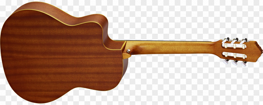 Guitar Ukulele Classical Neck Fingerboard PNG