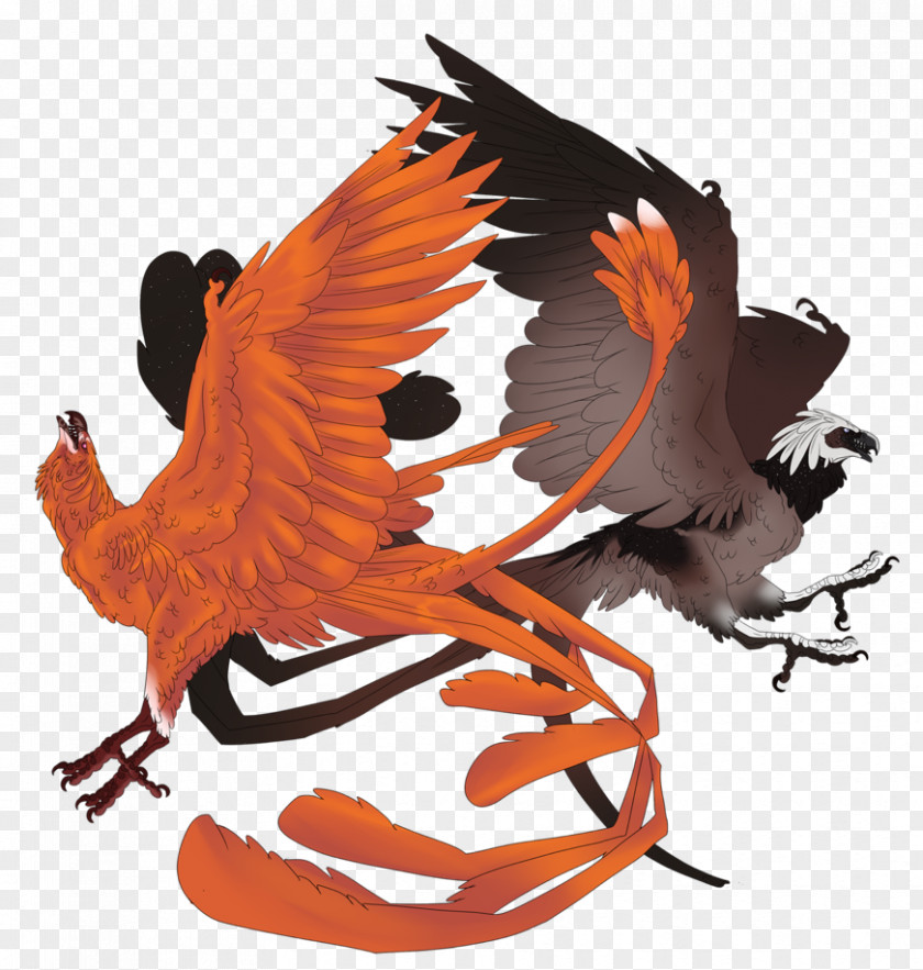 Harpia Beak PNG