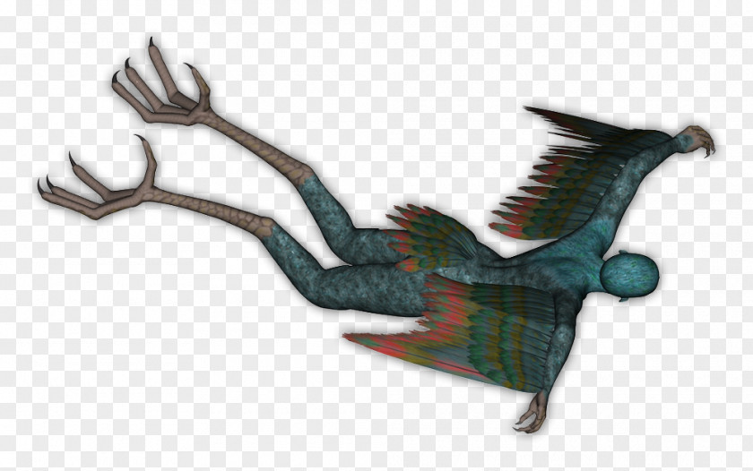 Harpy Fauna Animal Legendary Creature PNG