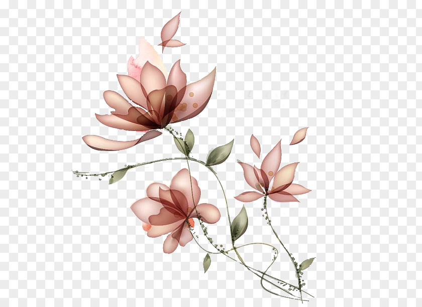 Lotus Painted Renderings Wall Decal Wallpaper PNG