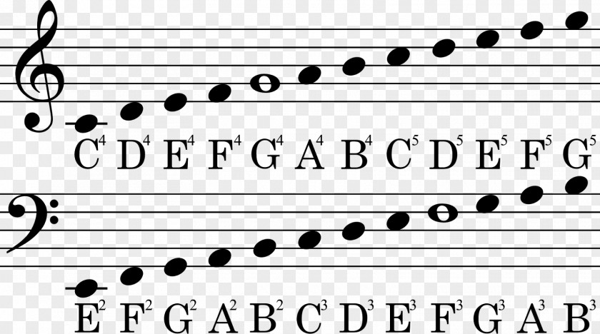 Musical Note Clef Treble Bass Staff PNG